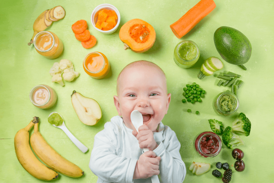 dieta do bebe